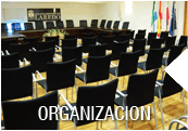 organizacion